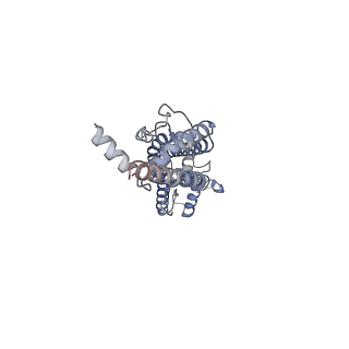 32768_7wsv_A_v1-1
Cryo-EM structure of the N-terminal deletion mutant of human pannexin-1 in a nanodisc
