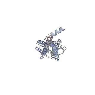 32768_7wsv_C_v1-1
Cryo-EM structure of the N-terminal deletion mutant of human pannexin-1 in a nanodisc