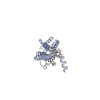 32768_7wsv_E_v1-1
Cryo-EM structure of the N-terminal deletion mutant of human pannexin-1 in a nanodisc