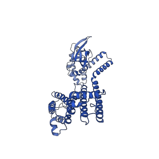 32769_7wsw_B_v1-0
Cryo-EM structure of the Potassium channel AKT1 from Arabidopsis thaliana