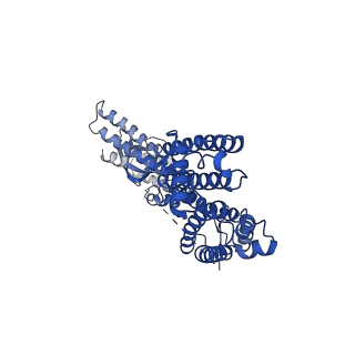 32769_7wsw_C_v1-0
Cryo-EM structure of the Potassium channel AKT1 from Arabidopsis thaliana