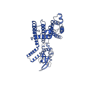 32769_7wsw_D_v1-0
Cryo-EM structure of the Potassium channel AKT1 from Arabidopsis thaliana