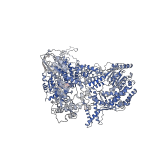 6684_5wsg_A_v1-2
Cryo-EM structure of the Catalytic Step II spliceosome (C* complex) at 4.0 angstrom resolution