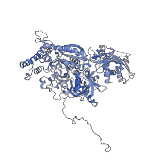 6684_5wsg_C_v1-3
Cryo-EM structure of the Catalytic Step II spliceosome (C* complex) at 4.0 angstrom resolution