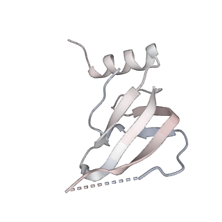 6684_5wsg_G_v1-3
Cryo-EM structure of the Catalytic Step II spliceosome (C* complex) at 4.0 angstrom resolution