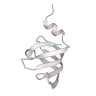 6684_5wsg_H_v1-3
Cryo-EM structure of the Catalytic Step II spliceosome (C* complex) at 4.0 angstrom resolution