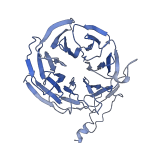 6684_5wsg_O_v1-3
Cryo-EM structure of the Catalytic Step II spliceosome (C* complex) at 4.0 angstrom resolution