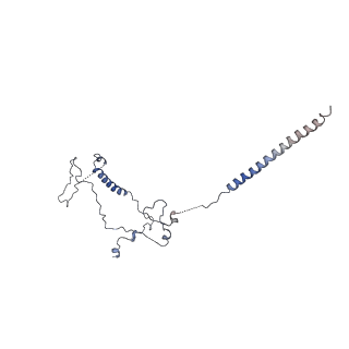 6684_5wsg_P_v1-3
Cryo-EM structure of the Catalytic Step II spliceosome (C* complex) at 4.0 angstrom resolution