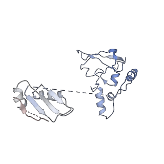 6684_5wsg_Q_v1-2
Cryo-EM structure of the Catalytic Step II spliceosome (C* complex) at 4.0 angstrom resolution