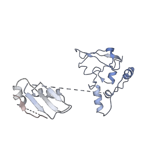 6684_5wsg_Q_v1-3
Cryo-EM structure of the Catalytic Step II spliceosome (C* complex) at 4.0 angstrom resolution