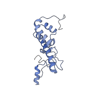 6684_5wsg_T_v1-3
Cryo-EM structure of the Catalytic Step II spliceosome (C* complex) at 4.0 angstrom resolution