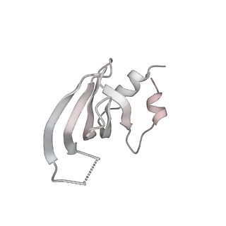 6684_5wsg_V_v1-3
Cryo-EM structure of the Catalytic Step II spliceosome (C* complex) at 4.0 angstrom resolution