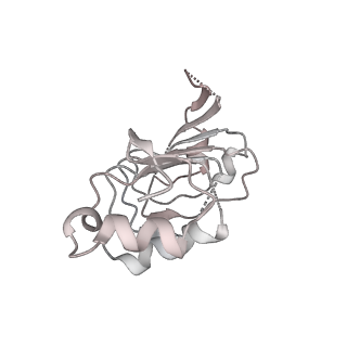 6684_5wsg_Y_v1-2
Cryo-EM structure of the Catalytic Step II spliceosome (C* complex) at 4.0 angstrom resolution