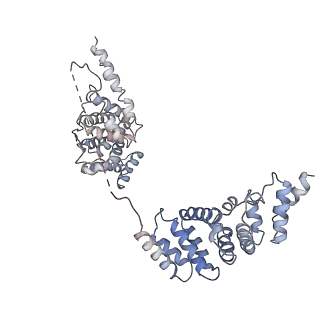 6684_5wsg_Z_v1-2
Cryo-EM structure of the Catalytic Step II spliceosome (C* complex) at 4.0 angstrom resolution