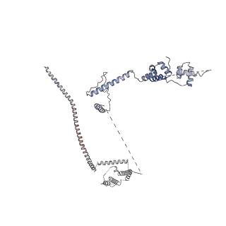 6684_5wsg_c_v1-3
Cryo-EM structure of the Catalytic Step II spliceosome (C* complex) at 4.0 angstrom resolution