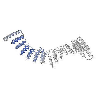 6684_5wsg_d_v1-2
Cryo-EM structure of the Catalytic Step II spliceosome (C* complex) at 4.0 angstrom resolution
