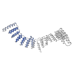 6684_5wsg_d_v1-3
Cryo-EM structure of the Catalytic Step II spliceosome (C* complex) at 4.0 angstrom resolution