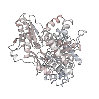 6684_5wsg_e_v1-2
Cryo-EM structure of the Catalytic Step II spliceosome (C* complex) at 4.0 angstrom resolution
