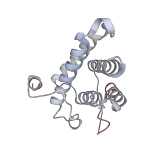 6684_5wsg_f_v1-3
Cryo-EM structure of the Catalytic Step II spliceosome (C* complex) at 4.0 angstrom resolution