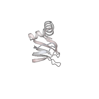 6684_5wsg_g_v1-3
Cryo-EM structure of the Catalytic Step II spliceosome (C* complex) at 4.0 angstrom resolution