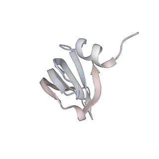 6684_5wsg_h_v1-3
Cryo-EM structure of the Catalytic Step II spliceosome (C* complex) at 4.0 angstrom resolution