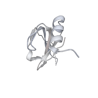 6684_5wsg_i_v1-3
Cryo-EM structure of the Catalytic Step II spliceosome (C* complex) at 4.0 angstrom resolution