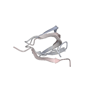 6684_5wsg_j_v1-3
Cryo-EM structure of the Catalytic Step II spliceosome (C* complex) at 4.0 angstrom resolution