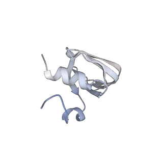 6684_5wsg_l_v1-3
Cryo-EM structure of the Catalytic Step II spliceosome (C* complex) at 4.0 angstrom resolution