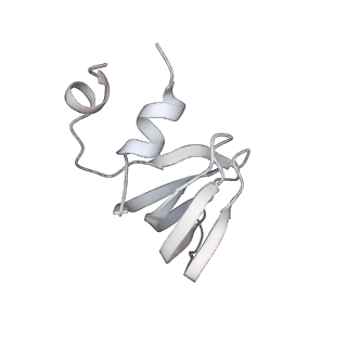 6684_5wsg_m_v1-3
Cryo-EM structure of the Catalytic Step II spliceosome (C* complex) at 4.0 angstrom resolution