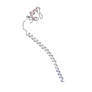 6684_5wsg_o_v1-3
Cryo-EM structure of the Catalytic Step II spliceosome (C* complex) at 4.0 angstrom resolution