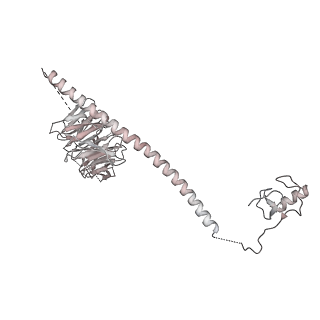 6684_5wsg_q_v1-2
Cryo-EM structure of the Catalytic Step II spliceosome (C* complex) at 4.0 angstrom resolution
