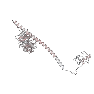 6684_5wsg_q_v1-3
Cryo-EM structure of the Catalytic Step II spliceosome (C* complex) at 4.0 angstrom resolution