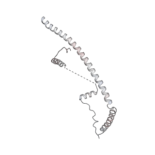 6684_5wsg_t_v1-3
Cryo-EM structure of the Catalytic Step II spliceosome (C* complex) at 4.0 angstrom resolution