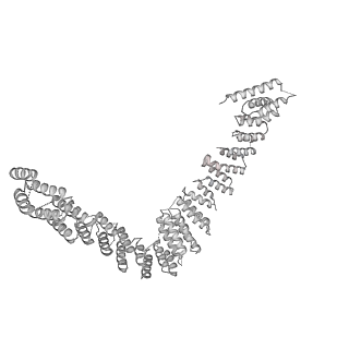 6684_5wsg_v_v1-3
Cryo-EM structure of the Catalytic Step II spliceosome (C* complex) at 4.0 angstrom resolution