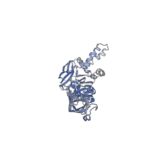 6685_5wsn_A_v1-1
Structure of Japanese encephalitis virus