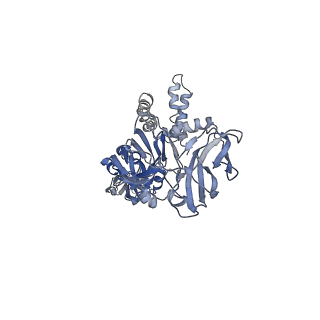 6685_5wsn_C_v1-1
Structure of Japanese encephalitis virus