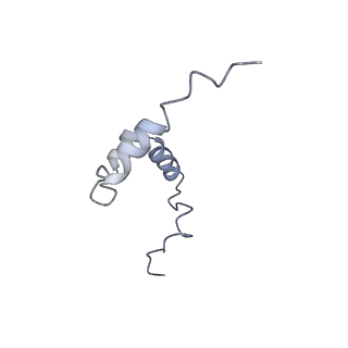 21894_6wtd_7_v1-1
Monomer yeast ATP synthase Fo reconstituted in nanodisc with inhibitor of Bedaquiline bound