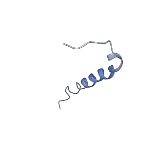 21894_6wtd_J_v1-1
Monomer yeast ATP synthase Fo reconstituted in nanodisc with inhibitor of Bedaquiline bound
