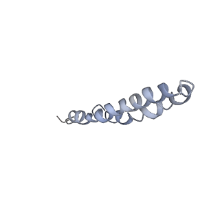 21894_6wtd_L_v1-1
Monomer yeast ATP synthase Fo reconstituted in nanodisc with inhibitor of Bedaquiline bound