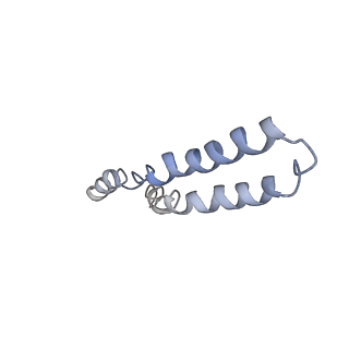 21894_6wtd_M_v1-1
Monomer yeast ATP synthase Fo reconstituted in nanodisc with inhibitor of Bedaquiline bound