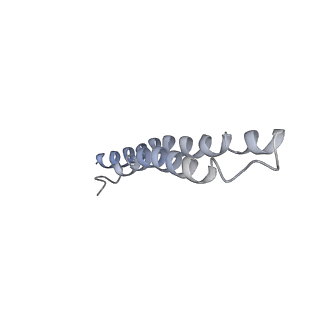 21894_6wtd_P_v1-1
Monomer yeast ATP synthase Fo reconstituted in nanodisc with inhibitor of Bedaquiline bound