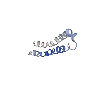 21894_6wtd_T_v1-1
Monomer yeast ATP synthase Fo reconstituted in nanodisc with inhibitor of Bedaquiline bound