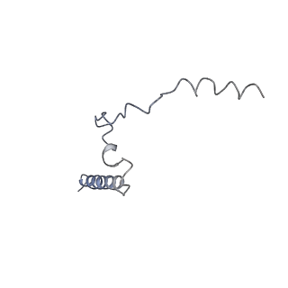 21894_6wtd_U_v1-1
Monomer yeast ATP synthase Fo reconstituted in nanodisc with inhibitor of Bedaquiline bound