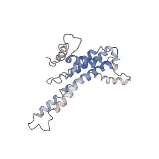 21894_6wtd_X_v1-1
Monomer yeast ATP synthase Fo reconstituted in nanodisc with inhibitor of Bedaquiline bound