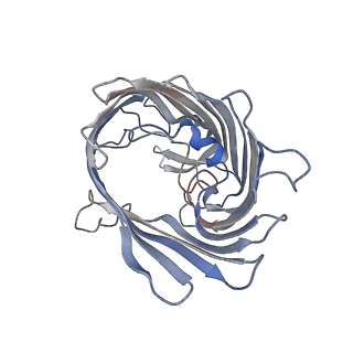 21900_6wtz_A_v1-1
Cryo-EM structure of E. Coli OmpF