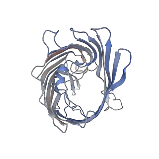 21900_6wtz_B_v1-1
Cryo-EM structure of E. Coli OmpF