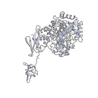 32773_7wta_A_v1-1
Cryo-EM structure of human pyruvate carboxylase in apo state