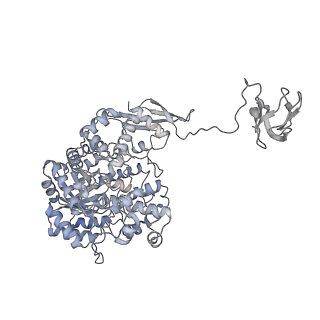 32773_7wta_B_v1-1
Cryo-EM structure of human pyruvate carboxylase in apo state
