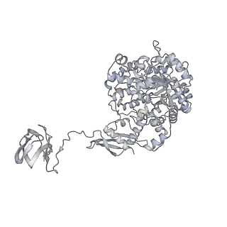 32773_7wta_D_v1-1
Cryo-EM structure of human pyruvate carboxylase in apo state