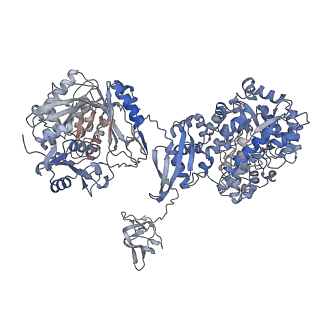 32775_7wtb_A_v1-1
Cryo-EM structure of human pyruvate carboxylase with acetyl-CoA